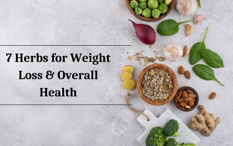7 Herbs for weight loss